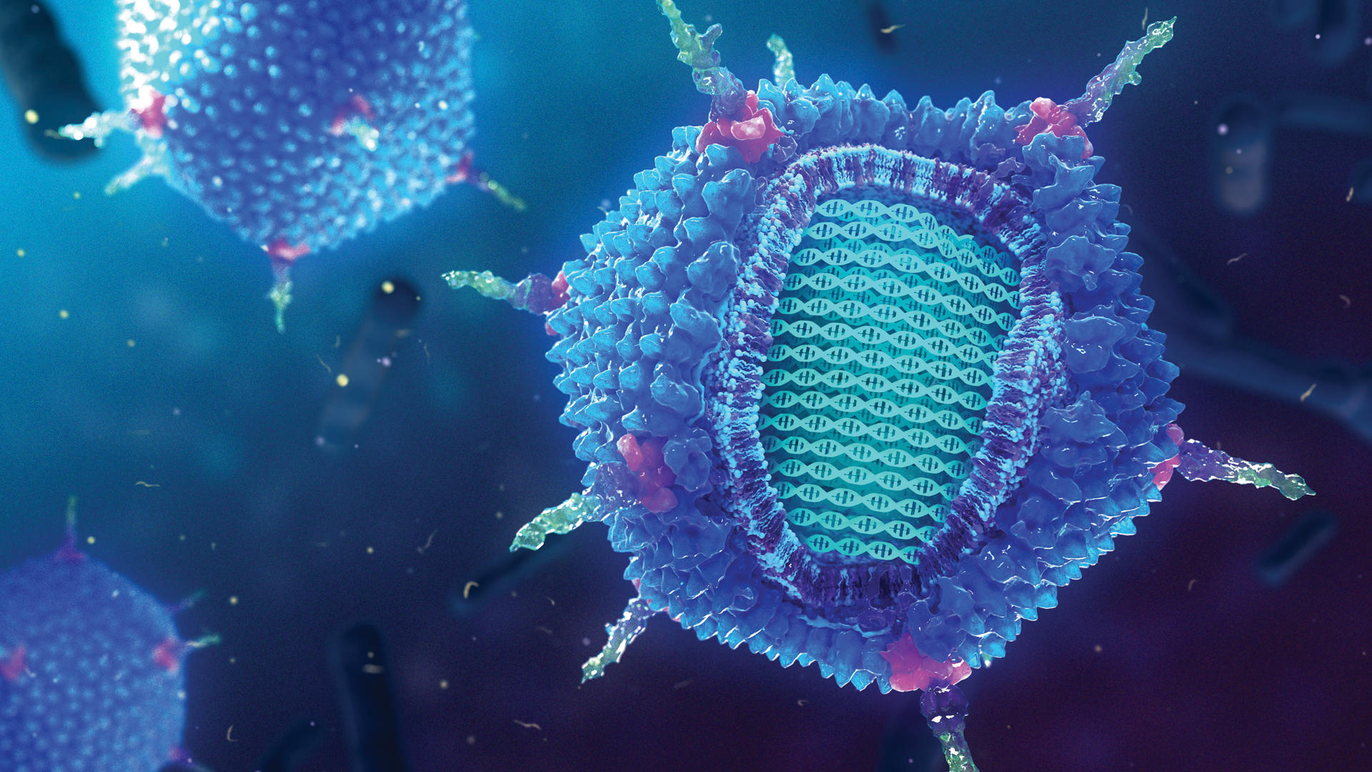 PRD1 bacteriophage, illustration. Molecular model of the structure of a PRD1 bacteriophage