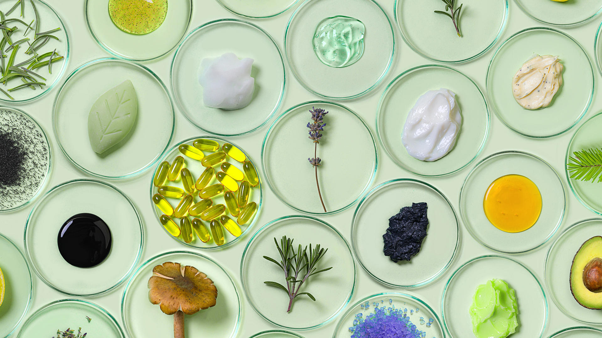 O conceito de produtos de beleza saudáveis, como os orgânicos e biocosméticos com placas de Petri com plantas naturais