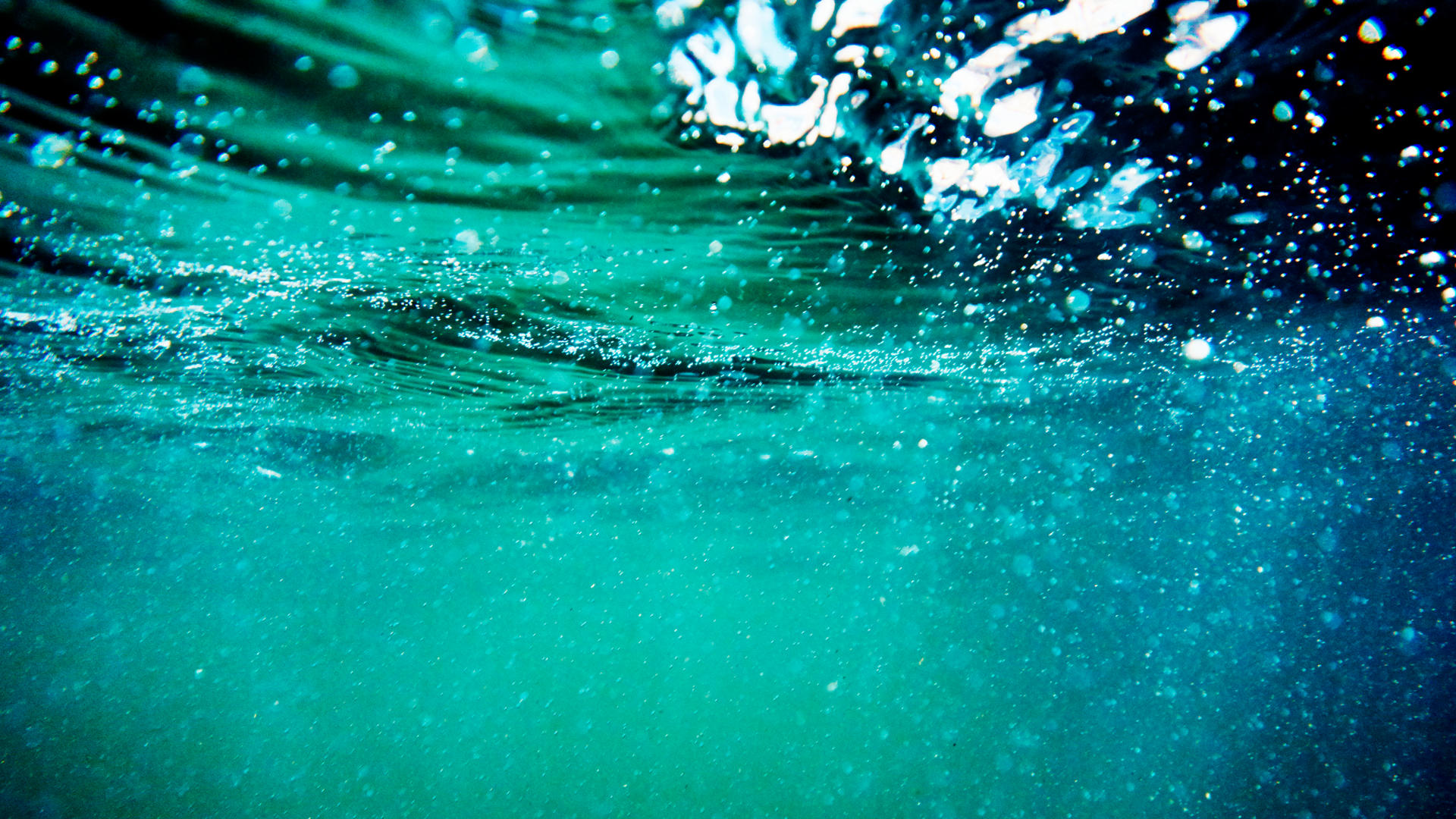 Primer plano bajo el agua