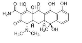 Tétracyclines-image6