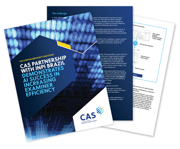 cover image of CAS INPI case study