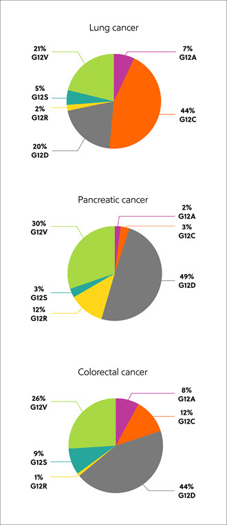 大腸がん、膵臓がん、そして肺がんにおけるK-RAS変異の種類を示す図 