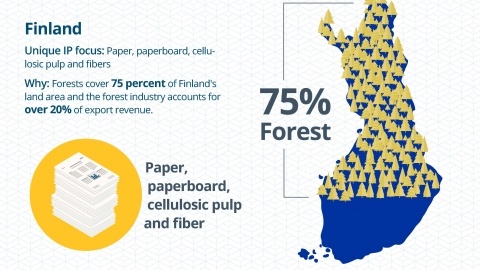 Finland: IP focus: paper, cellulosic pulp & fiber Why: Forests cover 75% of the land & forestry is 20% of export revenue
