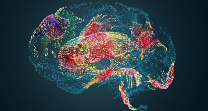 Brain activity human brain damage neural network