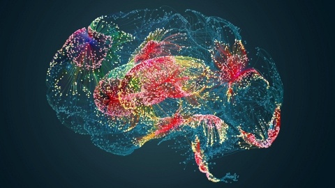 Brain activity human brain damage neural network
