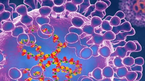 Monkeypox virus cellular depiction