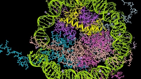 Bioorthogonal chemistry glycan depiction